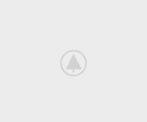 wood-gallery-placeholder