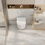UNICASA RAWH RAUL 66 RIMLESS WALL HUNG PAN GLOSS WHITE