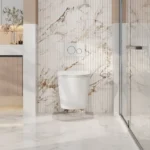 UNICASA RAWH RAUL 66 RIMLESS WALL HUNG PAN GLOSS WHITE
