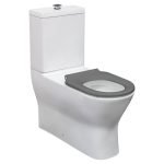 FIENZA K013G DELTA CARE BACK TO WALL TOILET SUITE WHITE WITH GREY SEAT