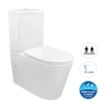 INSPIRE IFTSPKVA FEANZA BACK TO WALL TORNADO TOILET SUITE GLOSS WHITE