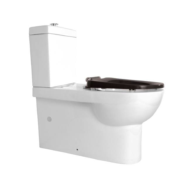 LINKWARE TS565 LINKCARE ASSISTED LIVING TOILET SUITE WHITE