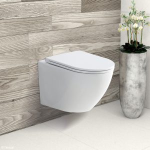 FIENZA K2376MW KOKO WALL HUNG TOILET SUITE MATTE WHITE WITH R&T IN-WALL CISTERN