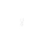 AQUAPERLA LM-MBG-LO50100 OVAL NON-LUMINOUS FRAMED MIRROR 500X1000MM BRUSHED GOLD