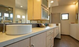 Bathroom Countertop Ideas